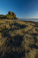 ニュージーランド　オークランド近郊のピハ・ビーチにあるライオン・ロック