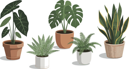 Minimalist houseplant illustration, modern potted plants collection, tropical indoor greenery in terracotta pots,