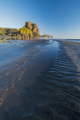 ニュージーランド　オークランド近郊のピハ・ビーチにあるライオン・ロック