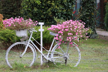 Vintage white bicycle decorated with flowers