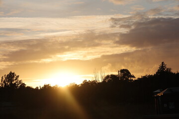 Sunset over trees with colorful sky background