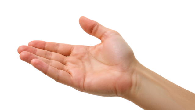 Hand. Isolated on transparent background, png
- Powered by Adobe