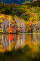 鏡池　秋