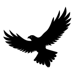 Fototapeta premium eagle vector illustration