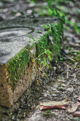 cimetière du saillant
