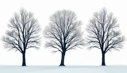 Obraz premium Three bare trees stand in snow under a white sky. Their dark branches form intricate patterns against the stark winter backdrop. The scene evokes a sense of cold solitude and natural simplicity.