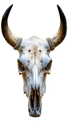 A detailed front view of a weathered bull skull with large, curved horns and an open jaw, isolated on transparent background