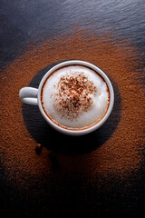 Cappuccino with frothy top and cocoa powder encouraging educational understanding of coffee traditions and fostering appreciation for cultural diversity
