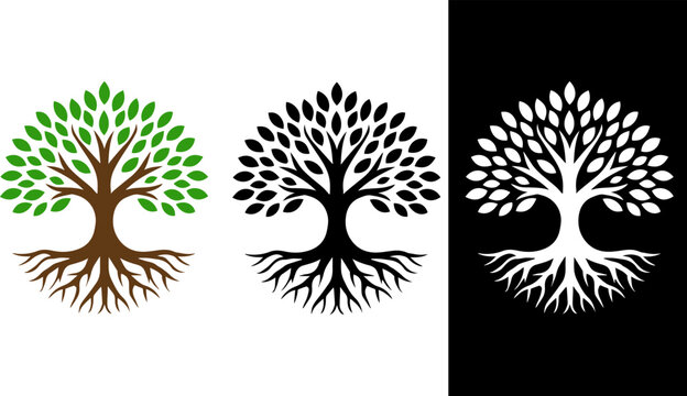 Minimalist Vector Tree of Life Logo in Black and White with Colorful Accents, Clean and Symmetrical Design