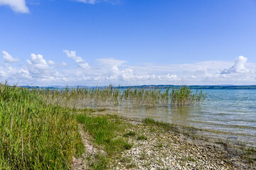 Güttingen, Bodensee, See, Seeufer, Uferweg, Ufer, Wasservögel, Schilf, Naturschutz, Wassersport, Seerundfahrt, Sommer, Ostschweiz, Thurgau, Schweiz