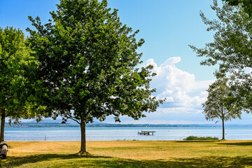 Altnau, Güttingen, Bodensee, Seeufer, Seerundfahrt, Hafen, Schiffe, Boote, Bootssteg, Schilf, Wasservögel, Naturschutz, Uferweg, Wanderweg, Sommer, Ostschweiz, Thurgau, Schweiz