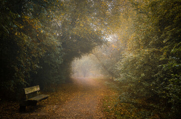 bench in autumn park