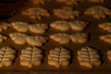 Rows of Homemade Autumn Leaf-Shaped Shortbread Cookies