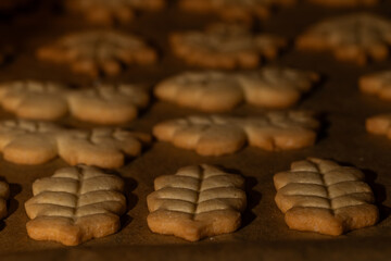 Rows of Homemade Autumn Leaf-Shaped Shortbread Cookies