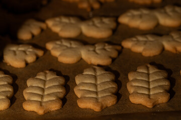 Rows of Homemade Autumn Leaf-Shaped Shortbread Cookies