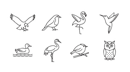 Set of hand drawn line art sketches featuring various bird species in simple artistic style vector