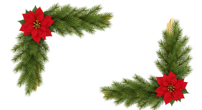 Festive christmas garland corners with red poinsettias and green fir branches isolated on white background