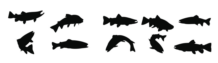 trout fish silhouette on white background