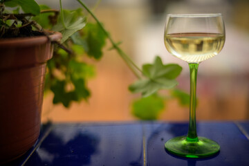 White wine aperitif in a shaded Andalusian patio