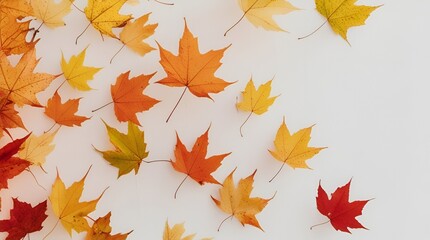 Autumn Leaves with Warm Orange Colors, Fall Season Nature Background, Rustic Foliage Landscape, Soft Natural Light, Seasonal Beauty Wallpaper