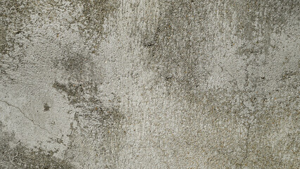 Aged Cracked Cement Wall Texture with Weathered Surface