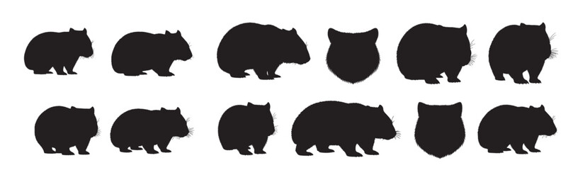 wombat silhouette on white background