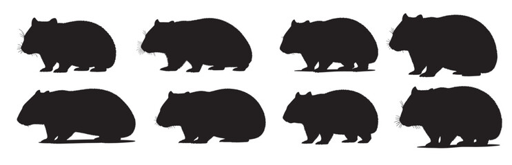wombat silhouette white background vector