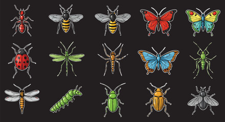 A detailed illustration showcases a diverse collection of insects, meticulously rendered with intricate textures and vibrant colors against a dark backdrop.