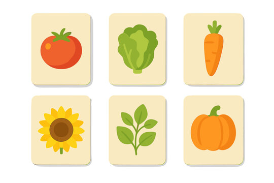 Set of six educational flashcards with simple graphic designs of garden produce and a sunflower