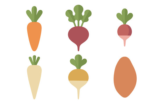 Colorful assortment of various root vegetables including carrot beet radish and parsnip