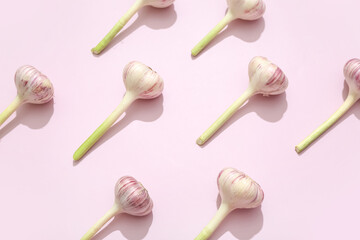 Fresh garlic on pink background