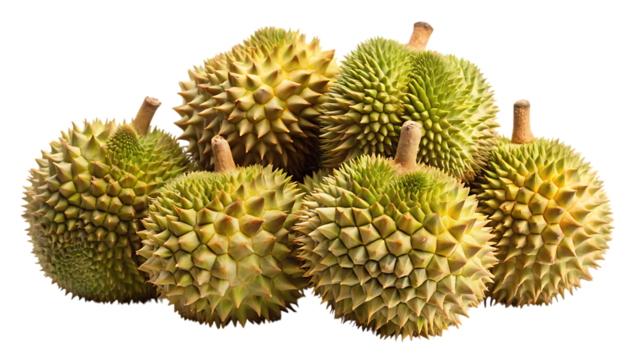 A group of spiky durian fruits presented together on a simple backdrop