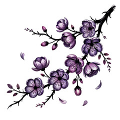 Beautiful purple cherry blossom branch with delicate petals in a simple design