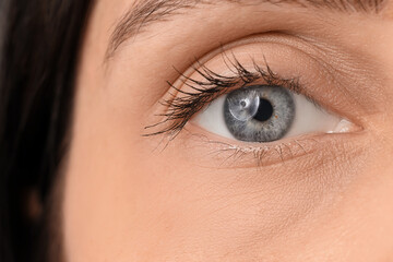 Obraz premium Young woman with long eyelashes and blue eyes on black background, closeup