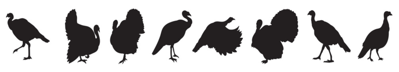 wild turkey icons vector.