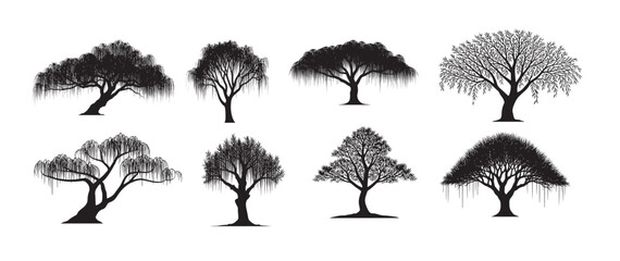 willow tree silhouette vector