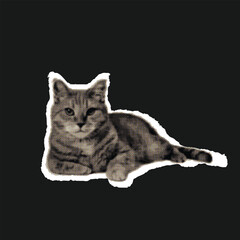 Relaxed Tabby Cat Lying Down - Halftone Pop Art Style