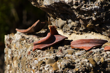 Close-Up of Broken Terracotta Pot on an Ancient Stone Structure