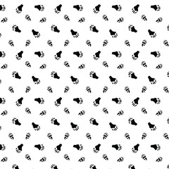 Coati footprint seamless pattern with black color on a transparent background