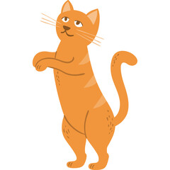 Orange Tabby Cat Standing on Hind Legs With a Playful Expression on a Transparent Background Isolated