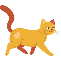 Orange Tabby Cat with Brown Markings Walking with a Long Tail and Alert Expression on Transparent Background