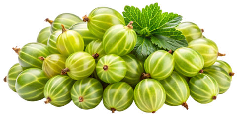 Heap of fresh green gooseberries healthy berries and leafy green garnish isolated