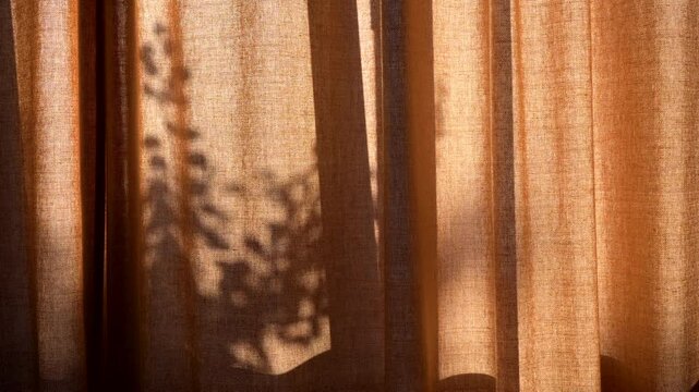 Dynamic play of light and shadow: mesmerizing movement of plant shadows dancing on translucent orange linen curtains, creating a serene and natural ambiance in a sunlit room.Gentle morning light