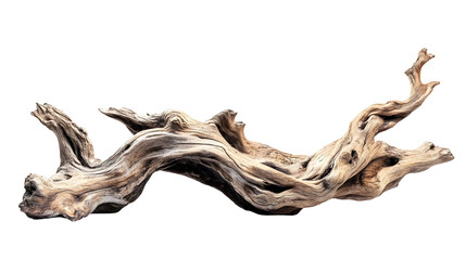 Fototapeta premium High resolution image of large driftwood piece for natural decor and design