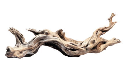 High resolution image of large driftwood piece for natural decor and design
