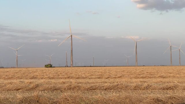 Wind turbines producing renewable energy at sunset