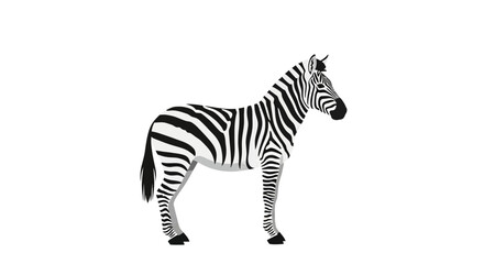Obraz premium Striking zebra illustration with classic black and white stripes against a plain background