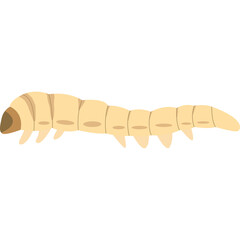 Pale Yellow Larva with Brown Head Segment and Multiple Legs Detailed Illustration on White Background