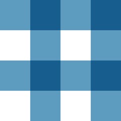 	
Seamless plaid pattern	
