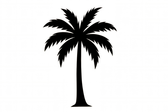 Palm tree silhouette creating a tropical summer vacation and travel concept, black graphic element with transparent background